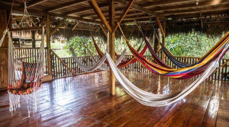 Caiman Lodge - Cuyabeno Nature Amazon Tour Eksteriør bilde