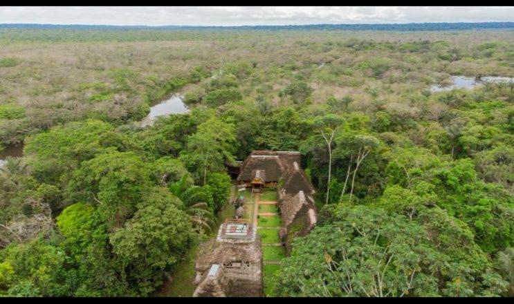 Caiman Lodge - Cuyabeno Nature Amazon Tour Eksteriør bilde