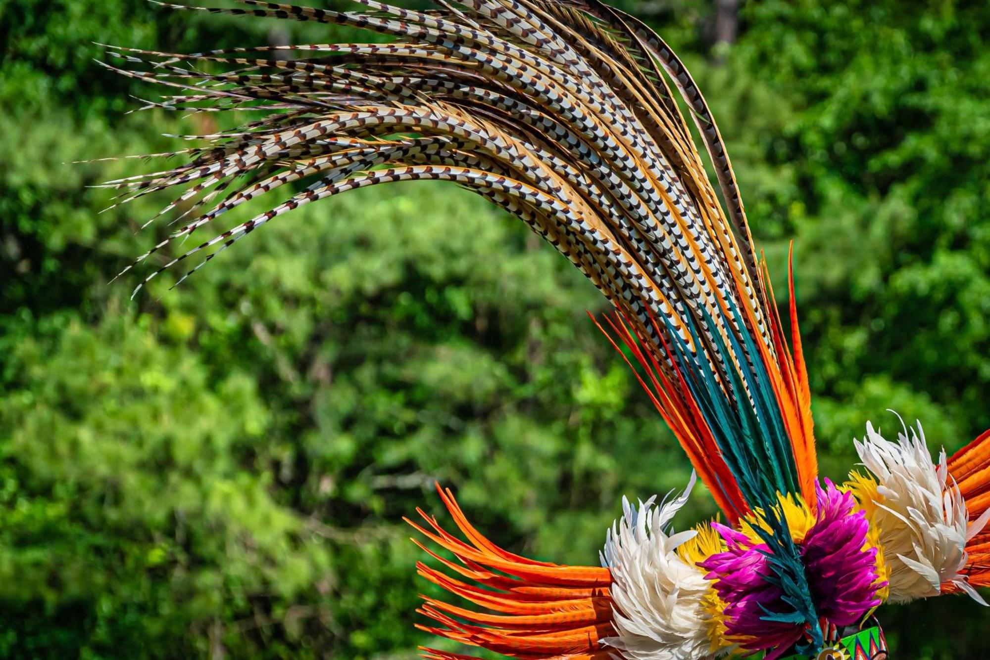 Caiman Lodge - Cuyabeno Nature Amazon Tour Eksteriør bilde