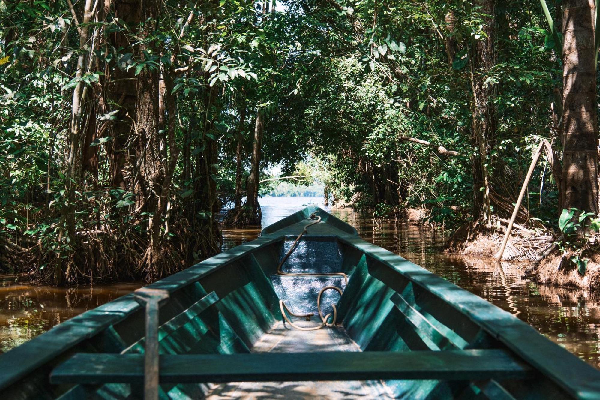 Caiman Lodge - Cuyabeno Nature Amazon Tour Eksteriør bilde